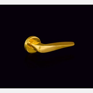 Hettich Polished Brass Finish  Luxury Door Handle - Aria701/50I
