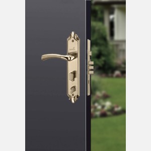 Hettich Antique Brass D4 Left Prolock Infinity Main Door Safety Lock, (Both Side Movable)