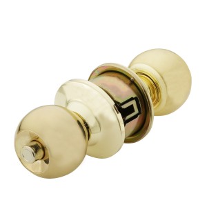 Hettich Polished Brass Handle HCH 02 PB WC for Washroom door